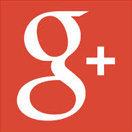 Google + Button
